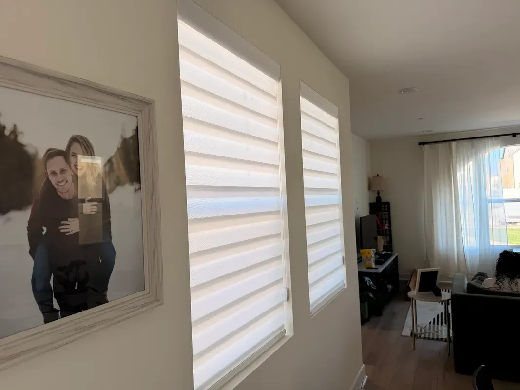 Custom zebra shades installation in Calabasas - Calabasas – Dual Sheer Zebra Shades